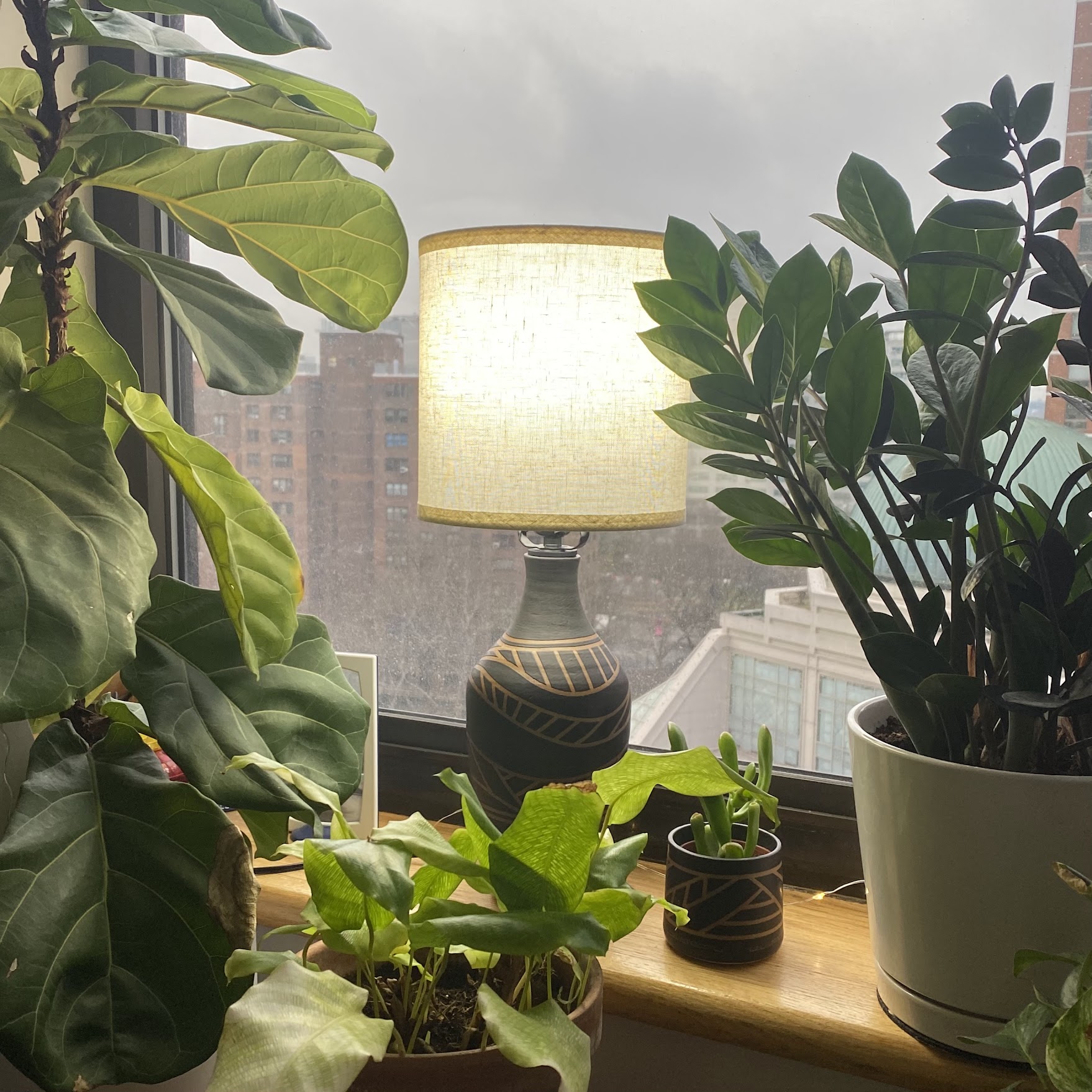 Lamp in matte black in window garden