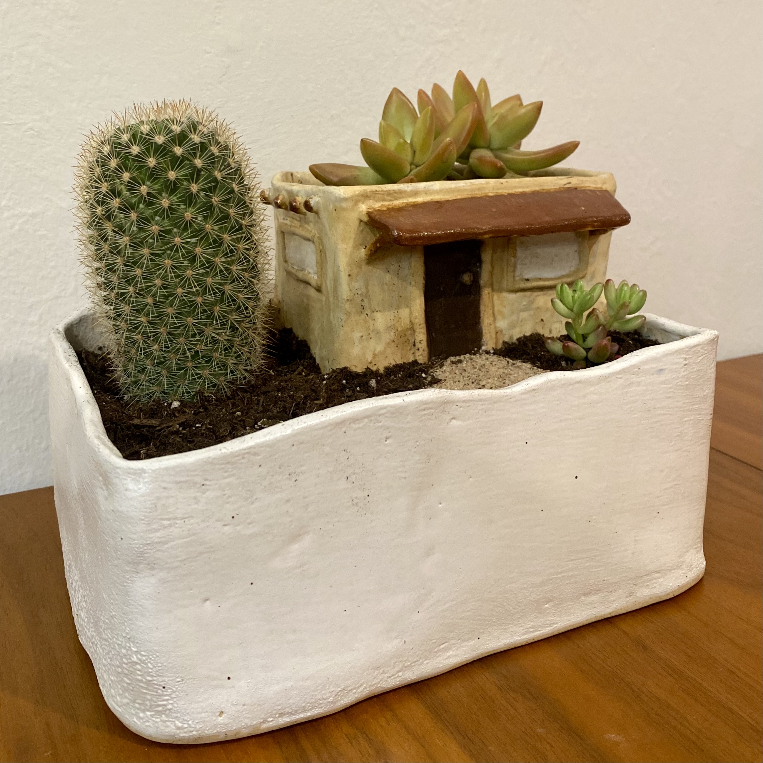House planter with cactus