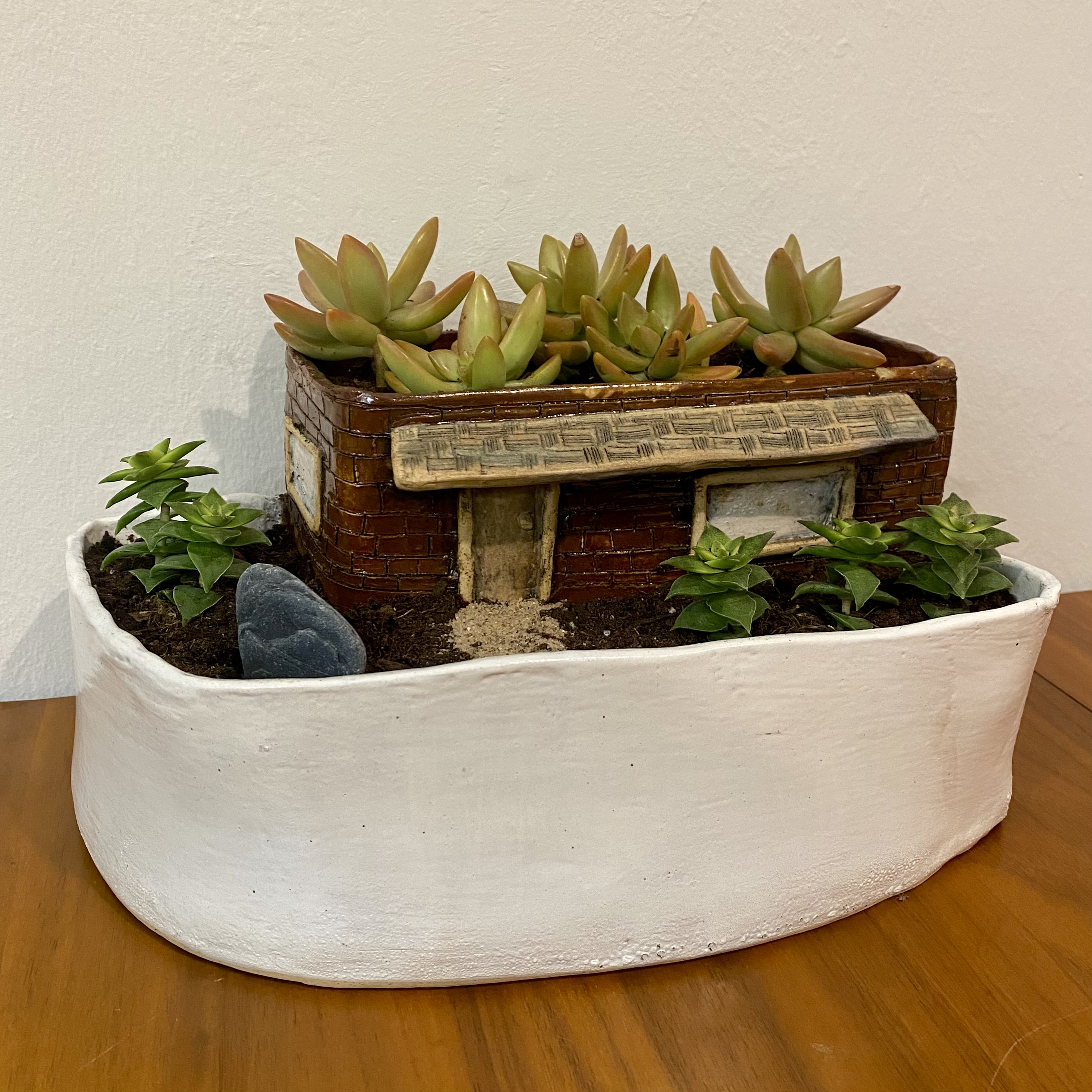 House planter with cactus